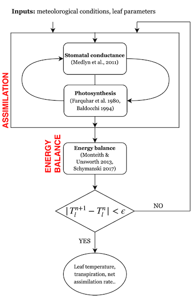 Example of a coupling with cycles