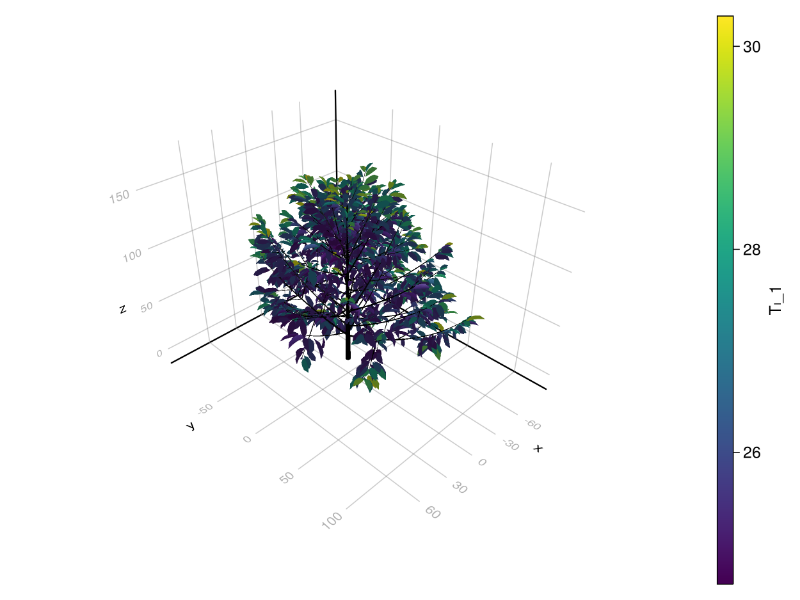 Plant growth simulation